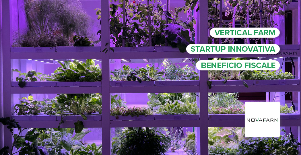 vertical-farm-novafarm-serre-da-interno-crowdfunding