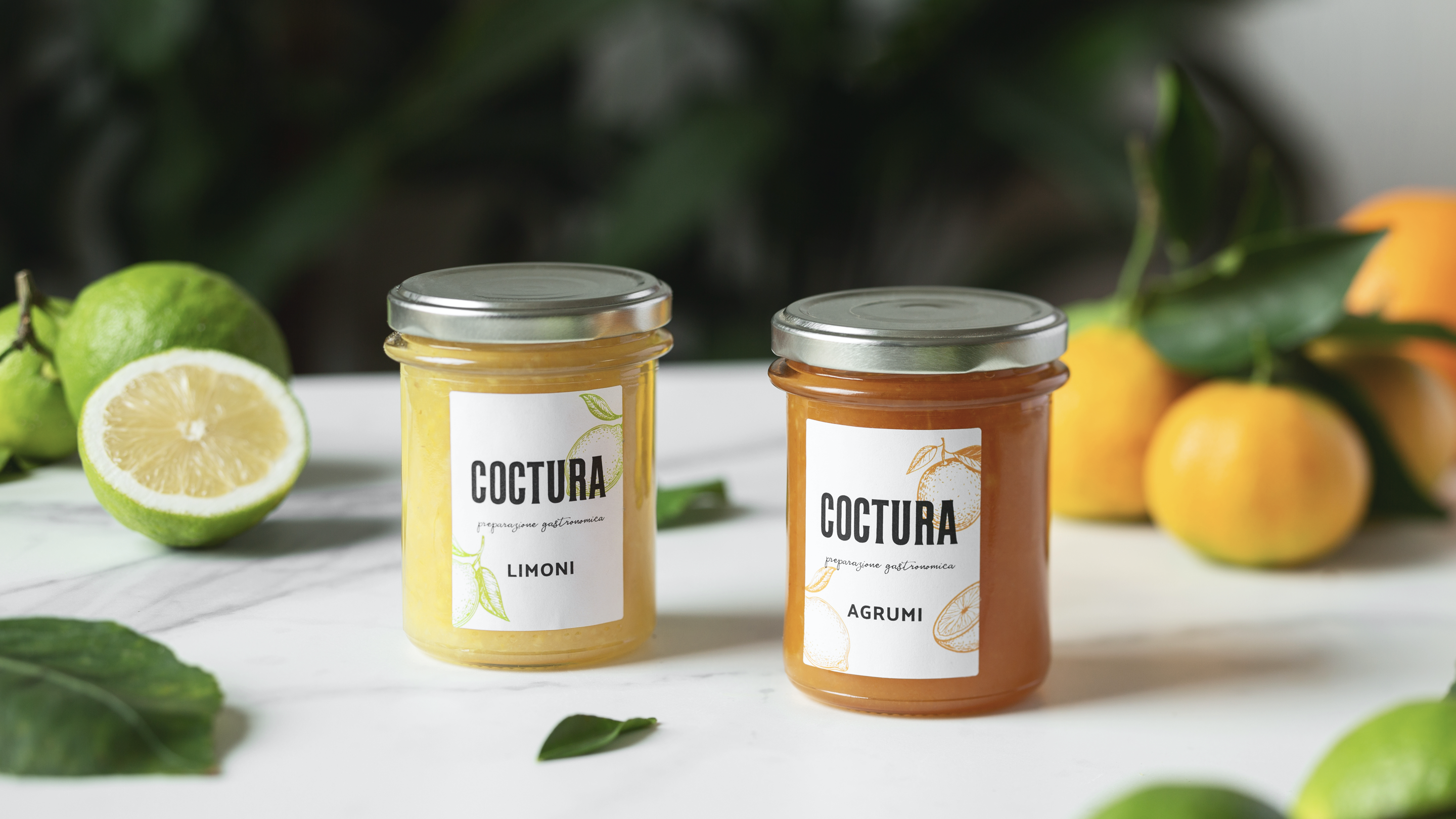 business-plan-coctura-crowdfunding